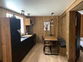 Appart 4/5 pers prox pistes La Tania/courchevel